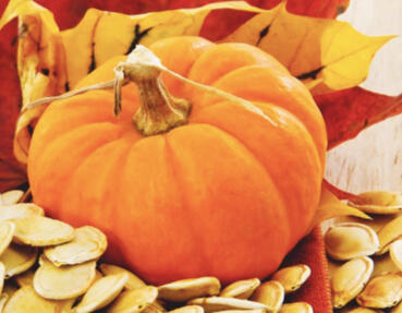 How to Roast Pumpkin Seeds for a Healthy Snack